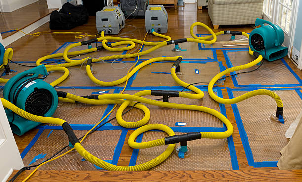 Professional Water Extraction technician working in Primm Springs, TN